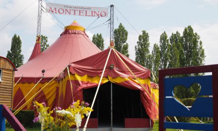 Circus Montelino zieht um