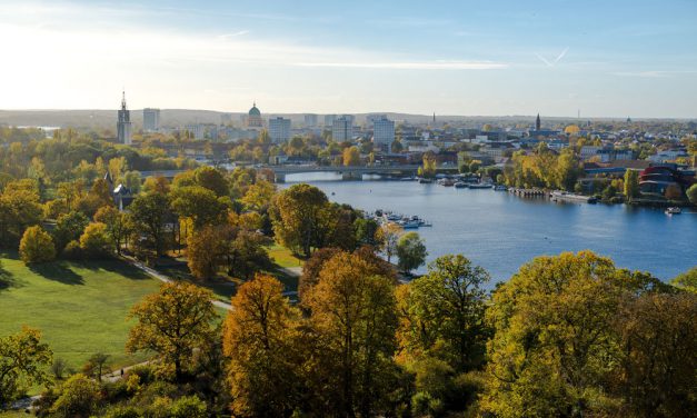 Wer bestimmt die Geschicke der Stadt?