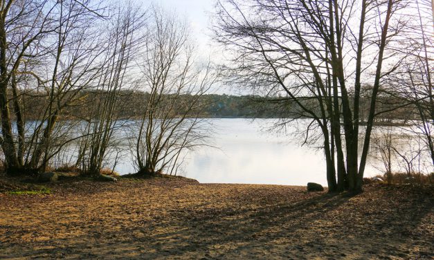 Offizielle Badestelle am Groß Glienicker See