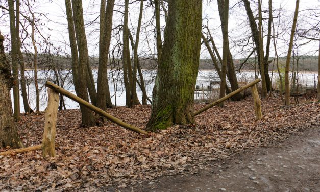 Naturschutzprojekt am Sacrower See