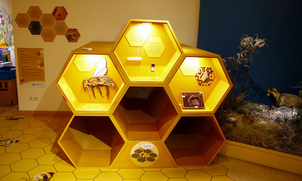 Mensch Biene: Die Ausstellung geht bis zum 20.06.2021