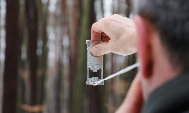 Förster halten keinen Winterschlaf