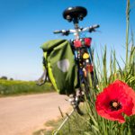 Radwege zwischen Potsdam-Mittelmark, Potsdam und Berlin