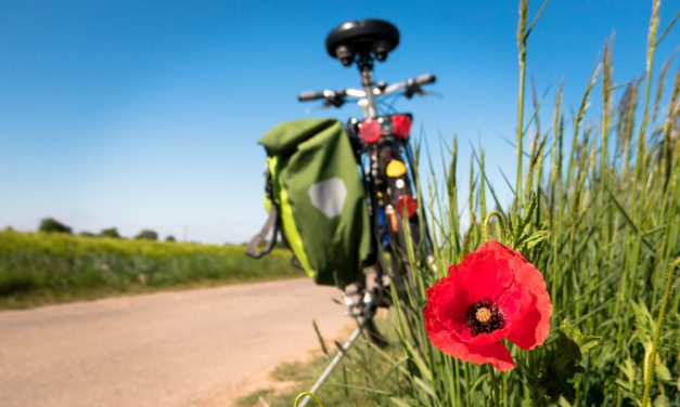 Radwege zwischen Potsdam-Mittelmark, Potsdam und Berlin