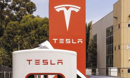 Der 25.000-Euro-Tesla soll aus Brandenburg kommen